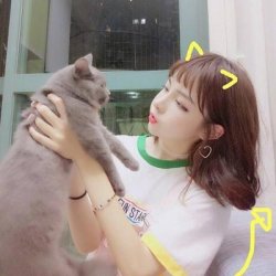 <b>小猫小狗和女主子的头像图片</b>