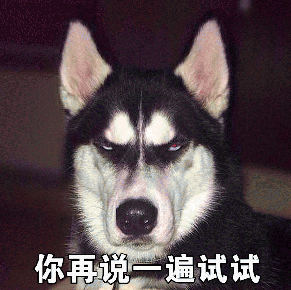 哈士奇表情包 [那你好棒棒哦 要不要给你鼓鼓掌？]