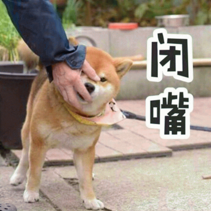 柴犬搞笑表情包 [一个耿直的微笑]