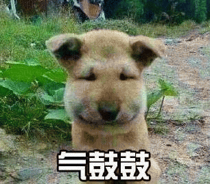 气鼓鼓表情包 [没猜错应该是掏了蜜蜂窝吧？]