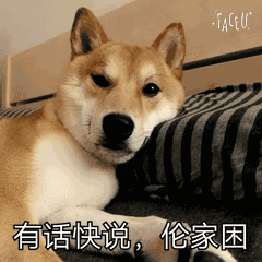 柴犬表情包  [天大地大睡觉最大]