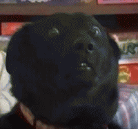 狗子眼神表情包 [确定过眼神 我遇见对的人]