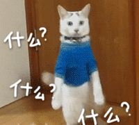 宠物带字表情包 [金毛犬：等一个有缘人]