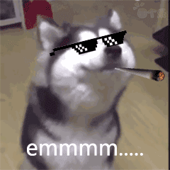 哈士奇emmm表情包 [二哈emmm...... prprpr......原图系列]