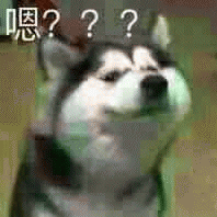 哈士奇emmm表情包 [二哈emmm...... prprpr......原图系列]
