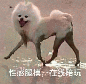 狗子表情包 [表面稳如狗 内心慌得一批]