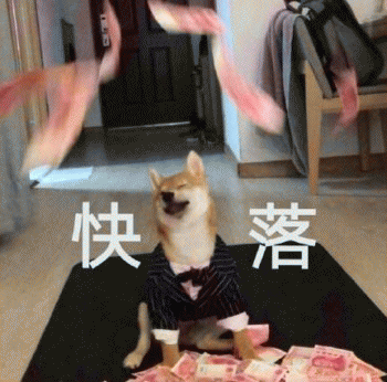 狗子表情包 [表面稳如狗 内心慌得一批]