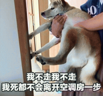 狗子表情包 [表面稳如狗 内心慌得一批]