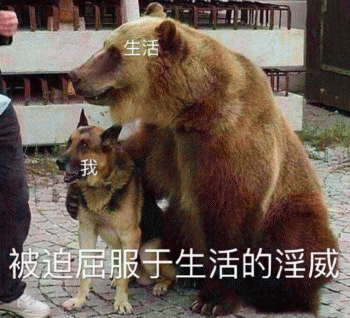 狗子表情包 [表面稳如狗 内心慌得一批]