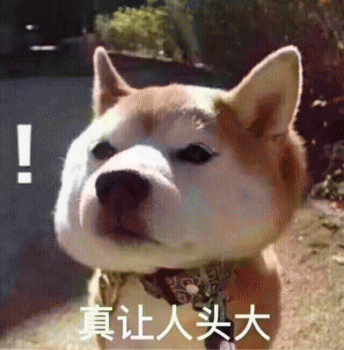 狗子表情包 [表面稳如狗 内心慌得一批]