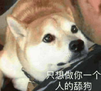 沙雕狗狗表情包 [大家都听我说，你们都是狗]