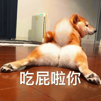 狗狗表情包带字 [这双狗眼看透太多了]