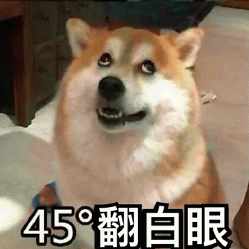 狗狗表情包带字 [这双狗眼看透太多了]