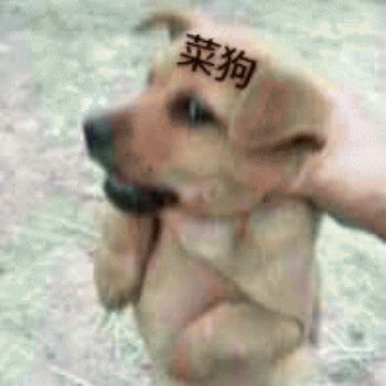 狗狗表情包带字 [这双狗眼看透太多了]