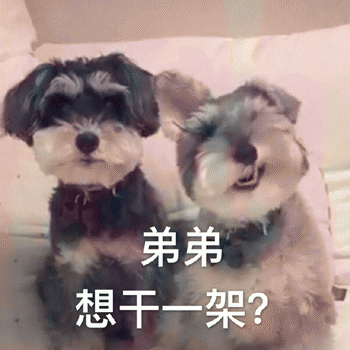 狗狗表情包带字 [这双狗眼看透太多了]