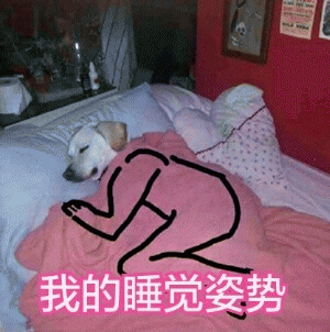 狗狗表情包带字 [这双狗眼看透太多了]