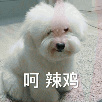 狗狗表情包带字 [这双狗眼看透太多了]