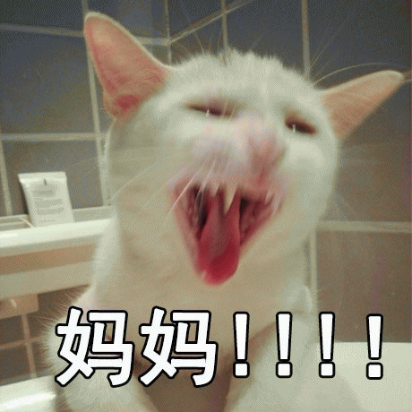 呼叫妈妈的表情包 [给你妈发微信不理你 就发这些表情包过去]