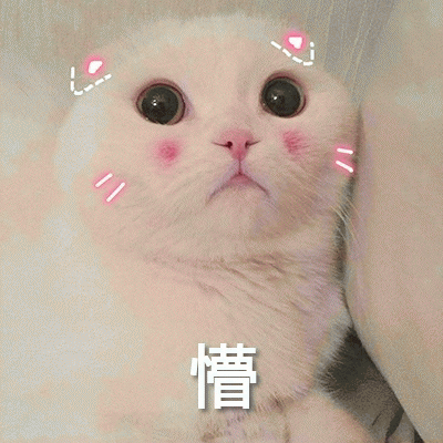 小白猫表情包 [你该不会是个傻子吧]