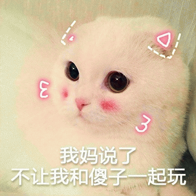 小白猫表情包 [你该不会是个傻子吧]