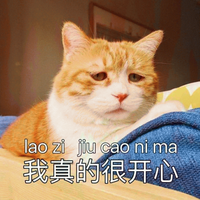 忧伤猫表情包 [满脸写着不高兴]