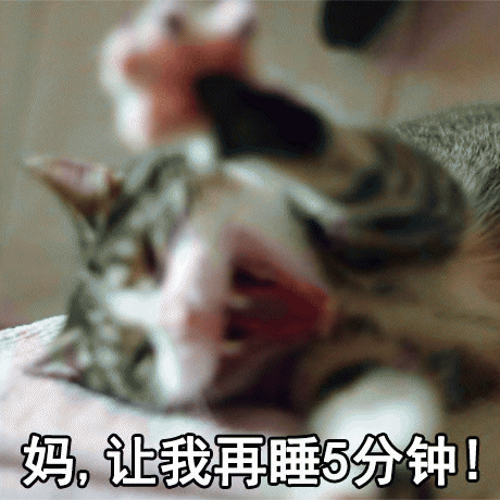 呼叫妈妈的表情包 [给你妈发微信不理你 就发这些表情包过去]