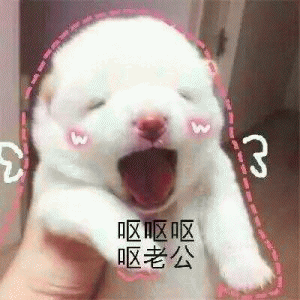 猫咪喊老公的表情包 [悄咪咪的偷窥老公]