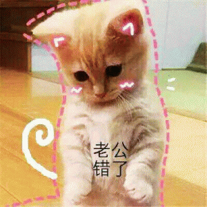 猫咪喊老公的表情包 [悄咪咪的偷窥老公]