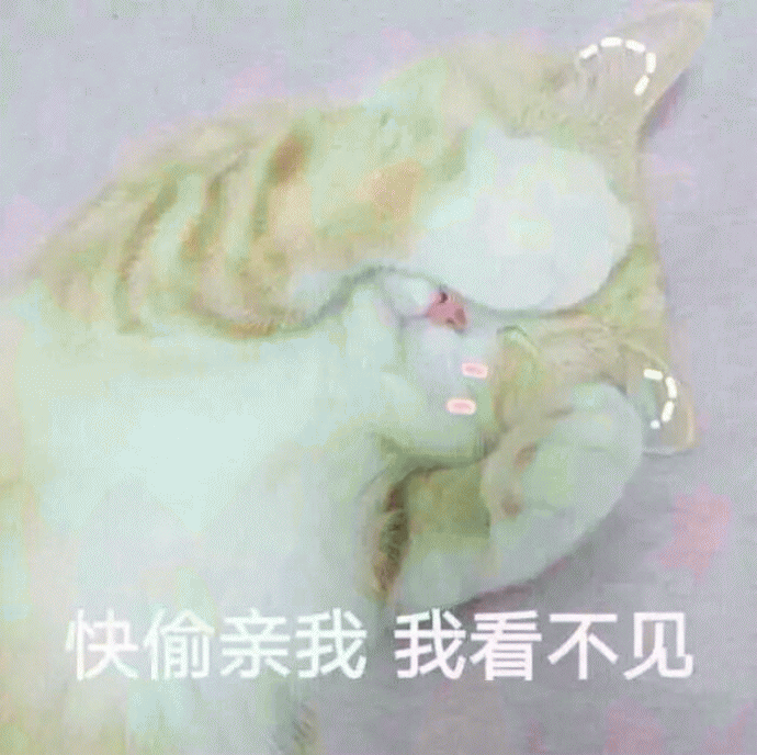 猫咪表情包 [难过的就像一个200斤的橘猫]
