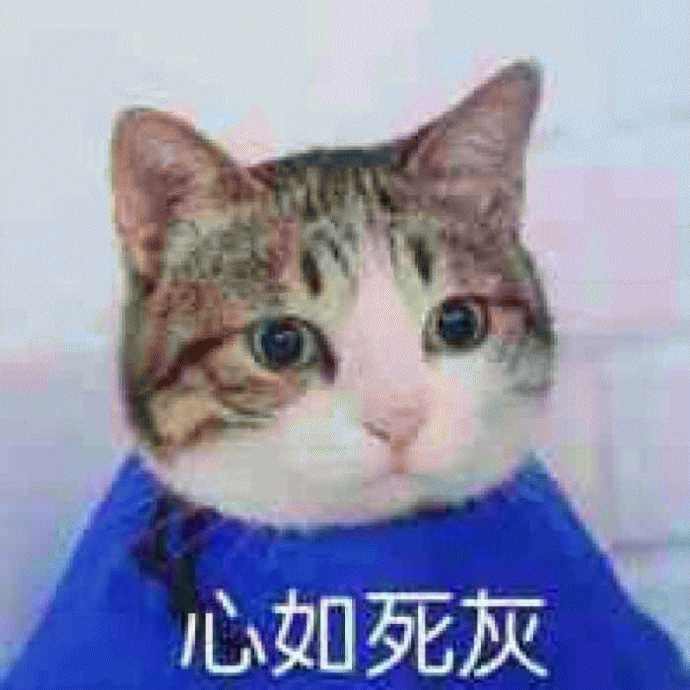 猫咪表情包 [难过的就像一个200斤的橘猫]