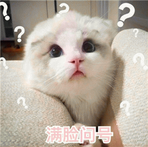 搞笑有趣的猫咪萌系表情包