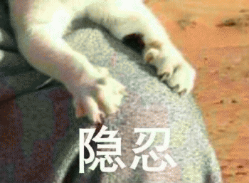 日常吸猫表情包 [哈哈哈哈哈哈 你没我萌吧！]