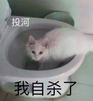 日常吸猫表情包 [哈哈哈哈哈哈 你没我萌吧！]