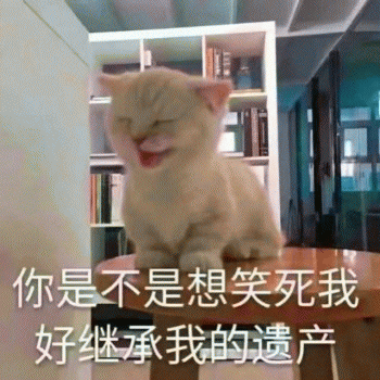 日常吸猫表情包 [哈哈哈哈哈哈 你没我萌吧！]