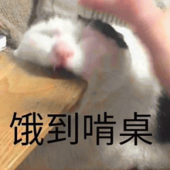 日常吸猫表情包 [哈哈哈哈哈哈 你没我萌吧！]