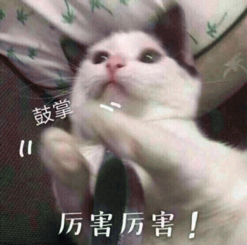 日常吸猫表情包 [哈哈哈哈哈哈 你没我萌吧！]