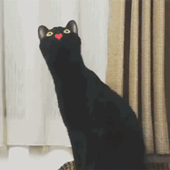 长脖子黑猫动态表情包 [dei dei dei 你说的都dei]