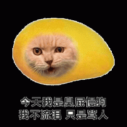 水果流泪表情包猫咪有趣表情