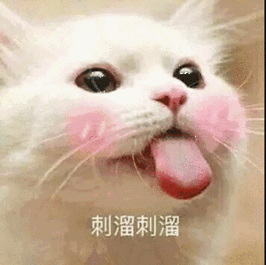 猫咪带字表情包[最近很火的表情包猫都在这里]全套200张
