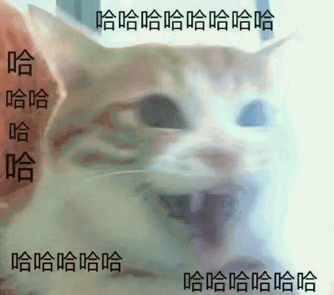 猫咪带字表情包[最近很火的表情包猫都在这里]全套200张