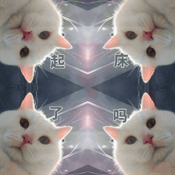 起床了表情包猫咪搞笑微信表情