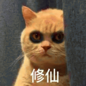 橘猫表情包 [我妈不让我跟傻子玩]