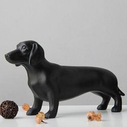 家养腊肠犬好不好？看看哪些人适合养腊肠犬